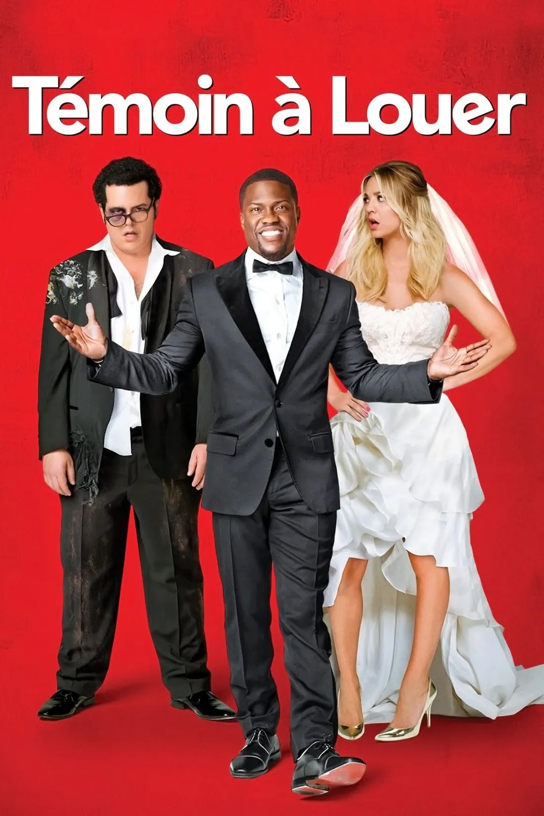 Témoin à louer (2015)